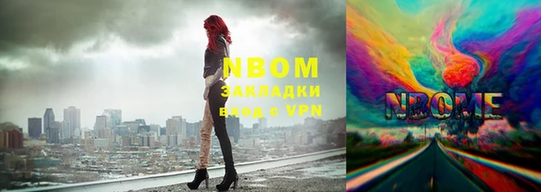 стафф Бородино