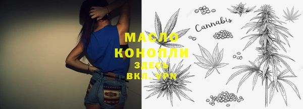 молекула духа Богородск