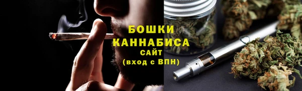 молекула духа Богородск