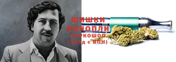 PSILOCYBIN Семилуки