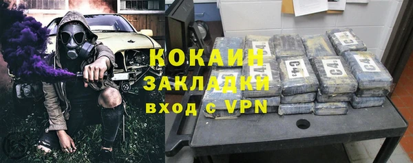 стафф Бородино
