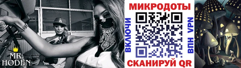 Галлюциногенные грибы Psilocybe мега зеркало Демидов продажа наркотиков